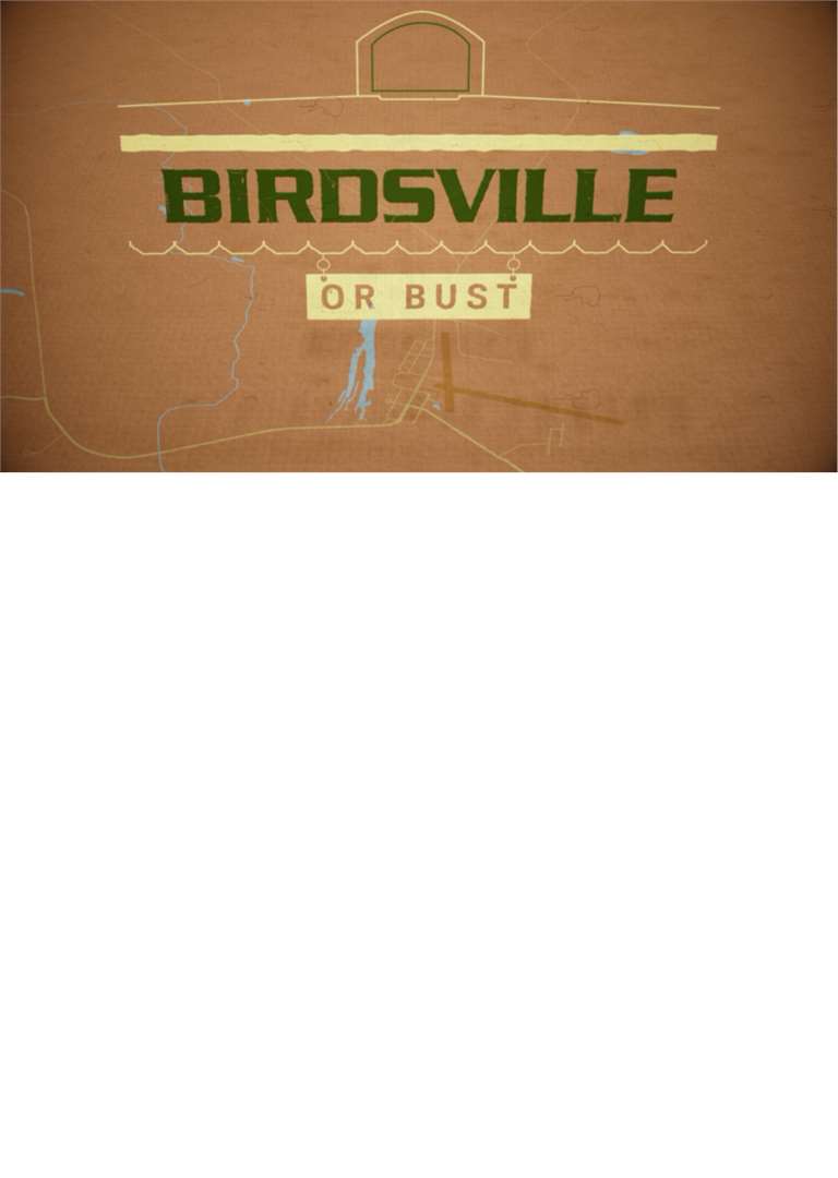 Birdsville artwork