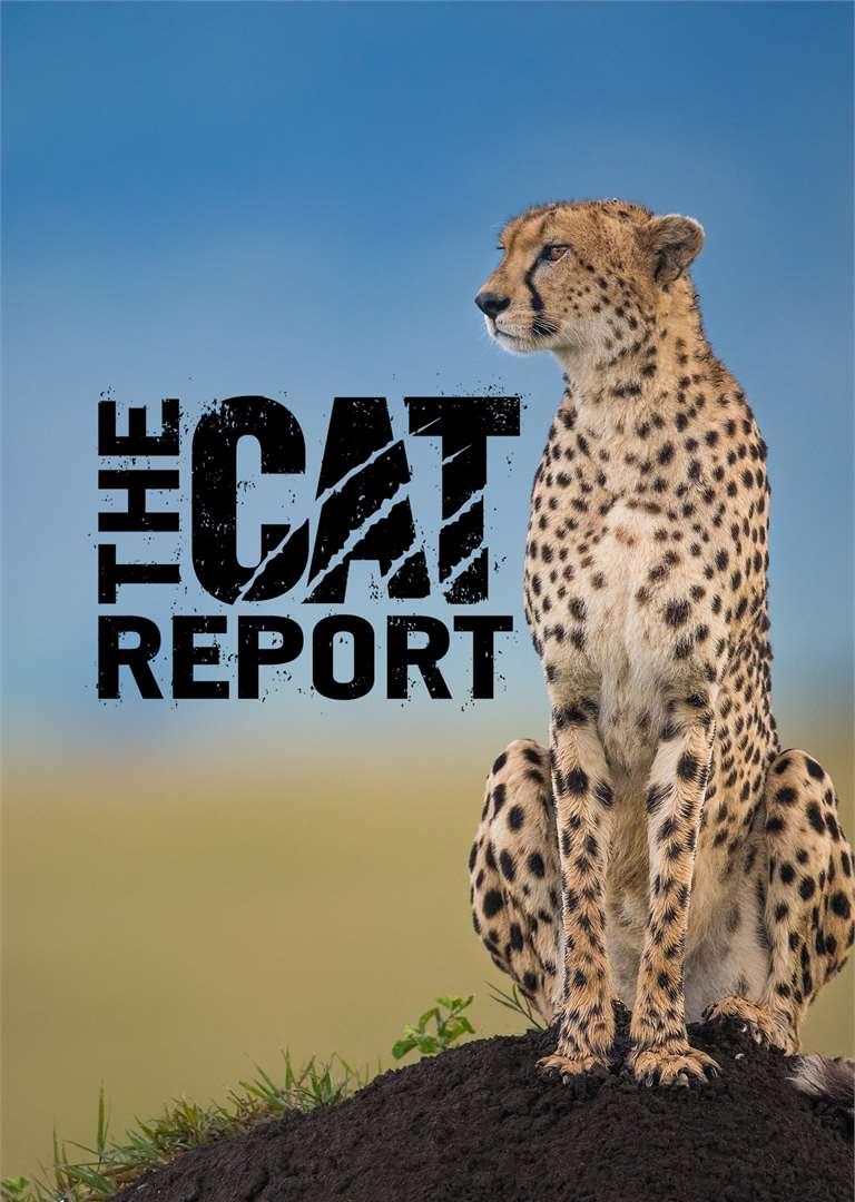 The Cat Report - Poster