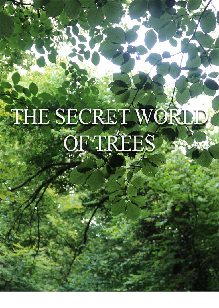 THE SECRET LIFE OF TREES POSTER 1200x 1600