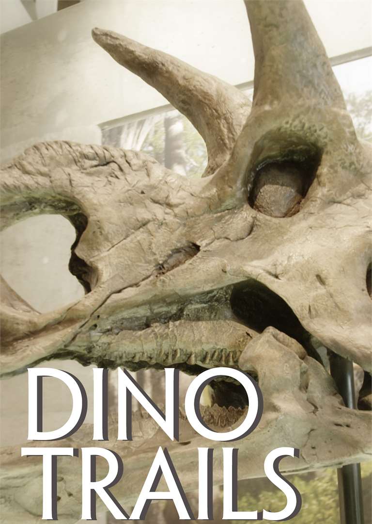 Dino Trails Vertical Cover