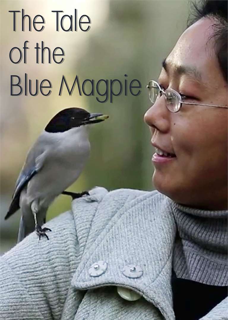 The Tale of the Blue Magpie Vertical